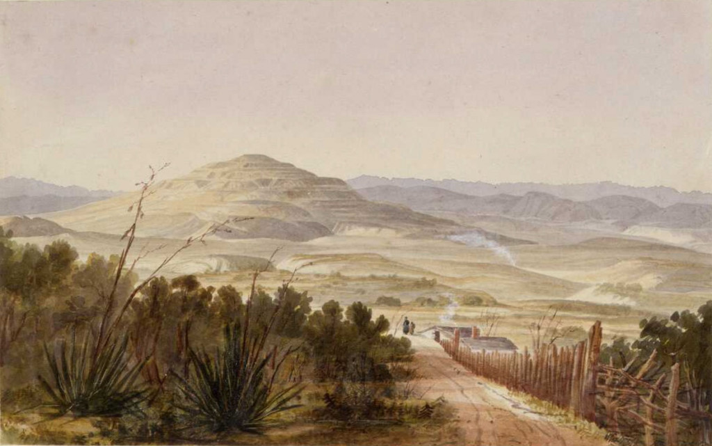 Evening On The Maunga 2023 #1 RMT preview image